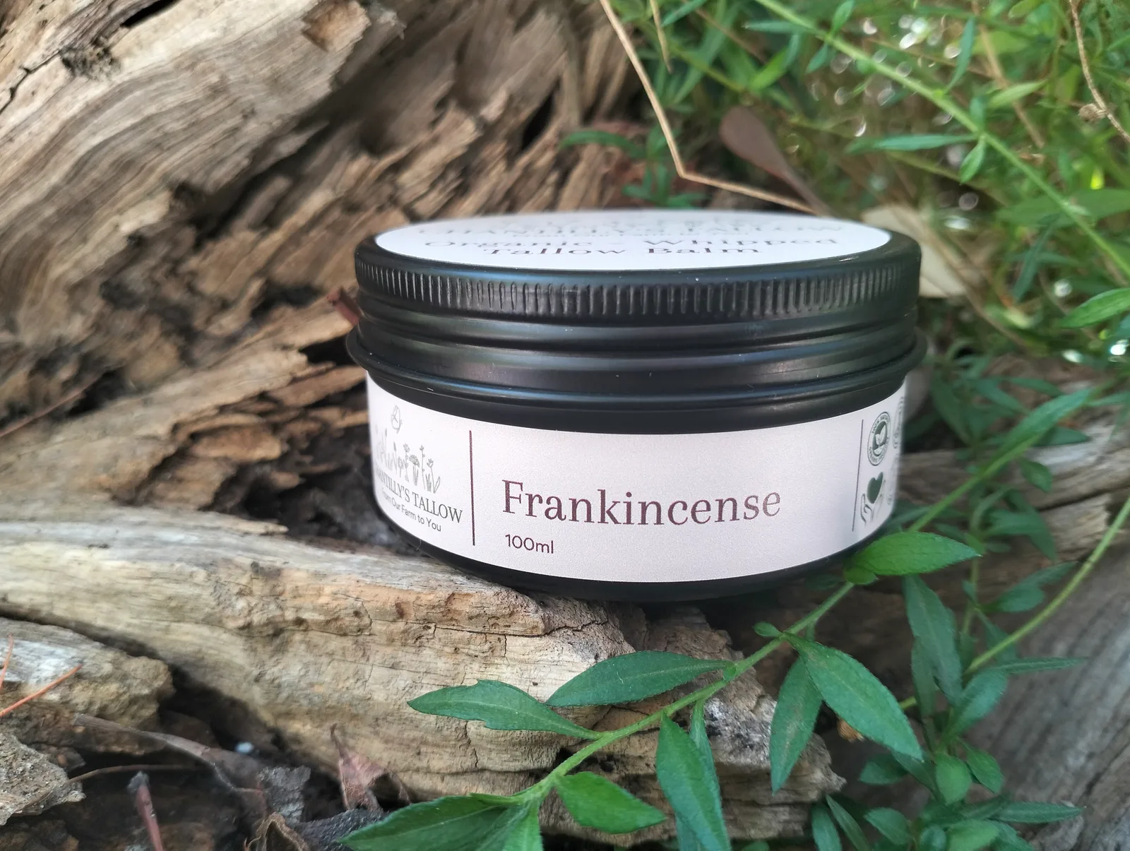 Frankincense & Olive