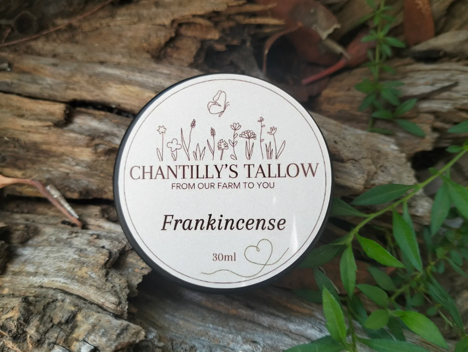 Frankincense & Olive