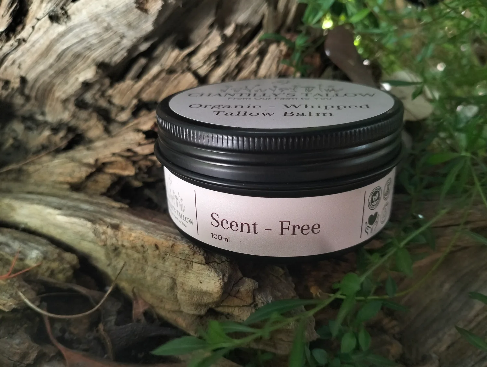 Scent-Free & Olive