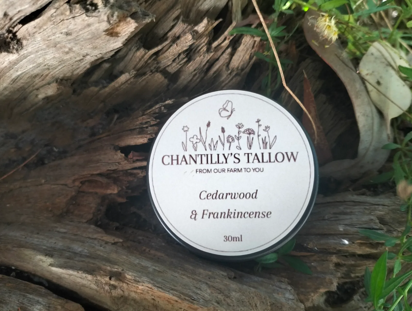Cedarwood & Frankincense (Men's)