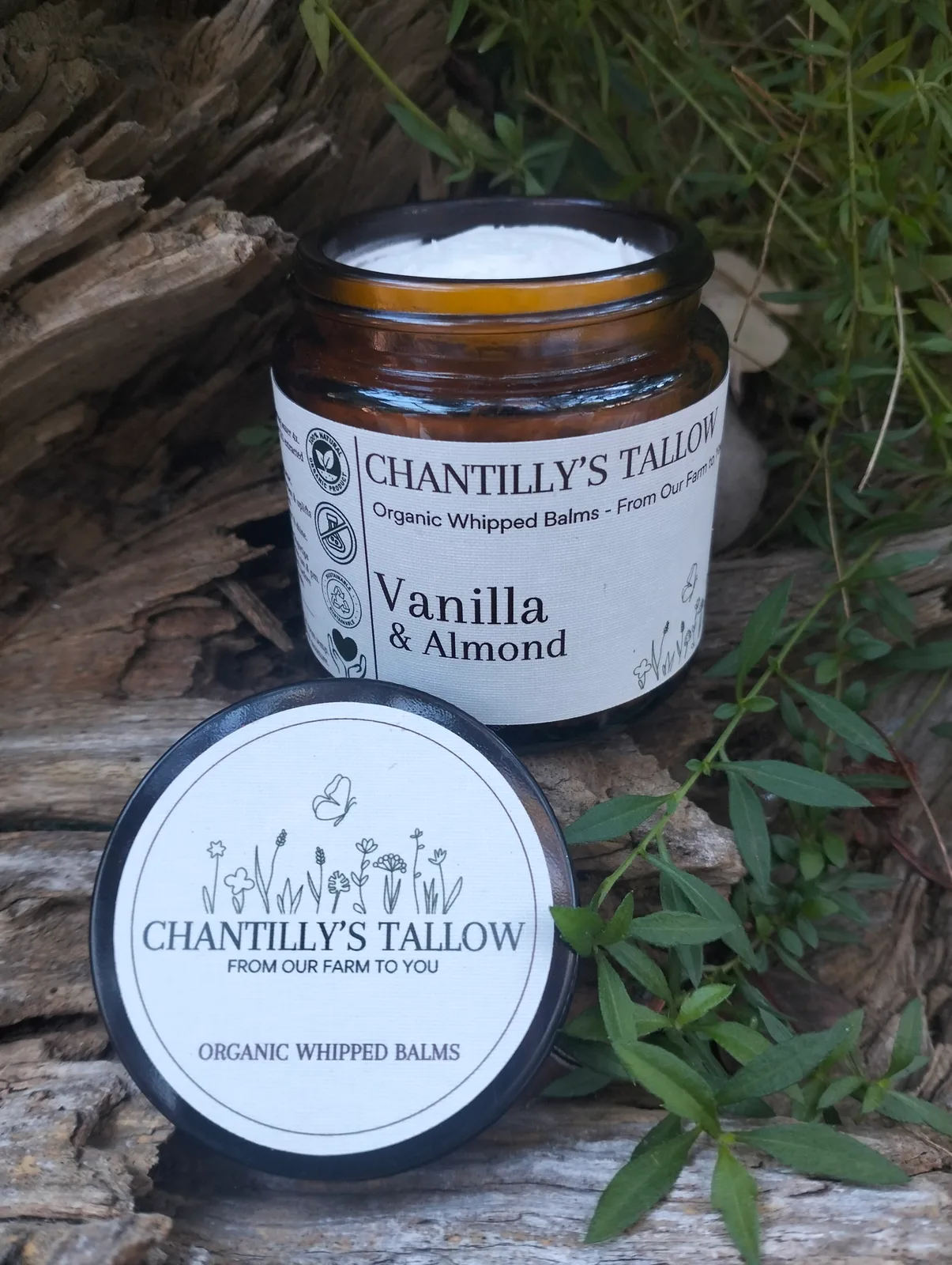 Vanilla & Almond