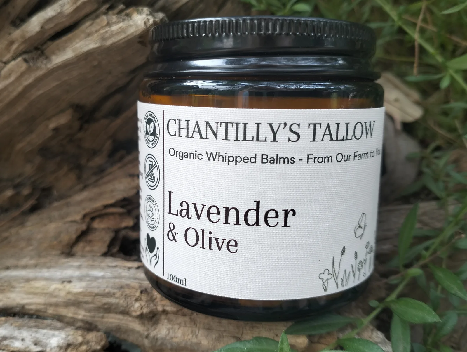 Lavender & Olive