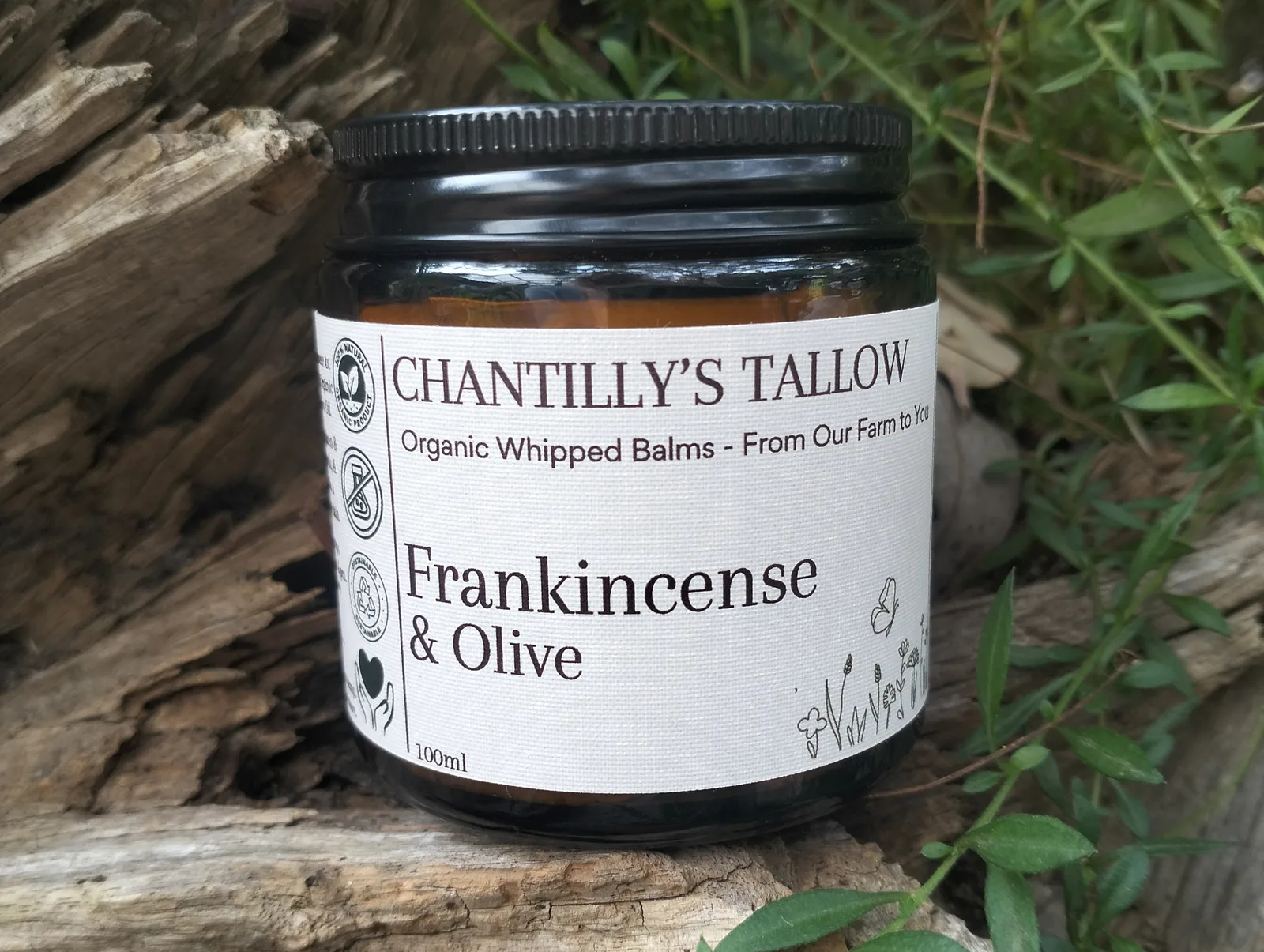 Frankincense & Olive