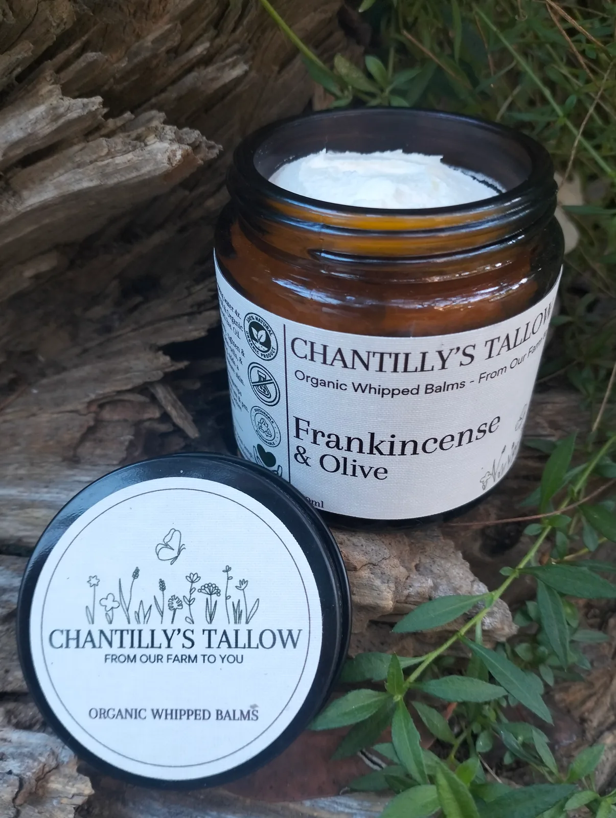 Frankincense & Olive